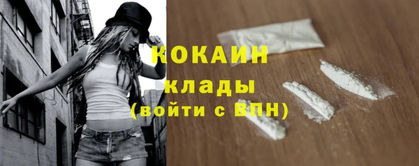 гашик Володарск