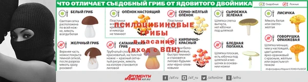стаф Волосово
