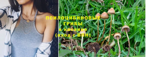 гашик Володарск