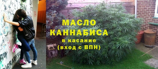 сатива Верхний Тагил