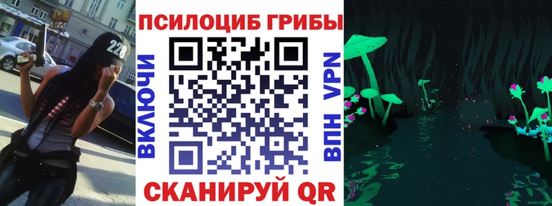 Псилоцибиновые грибы Psilocybe  Купить  Демидов 